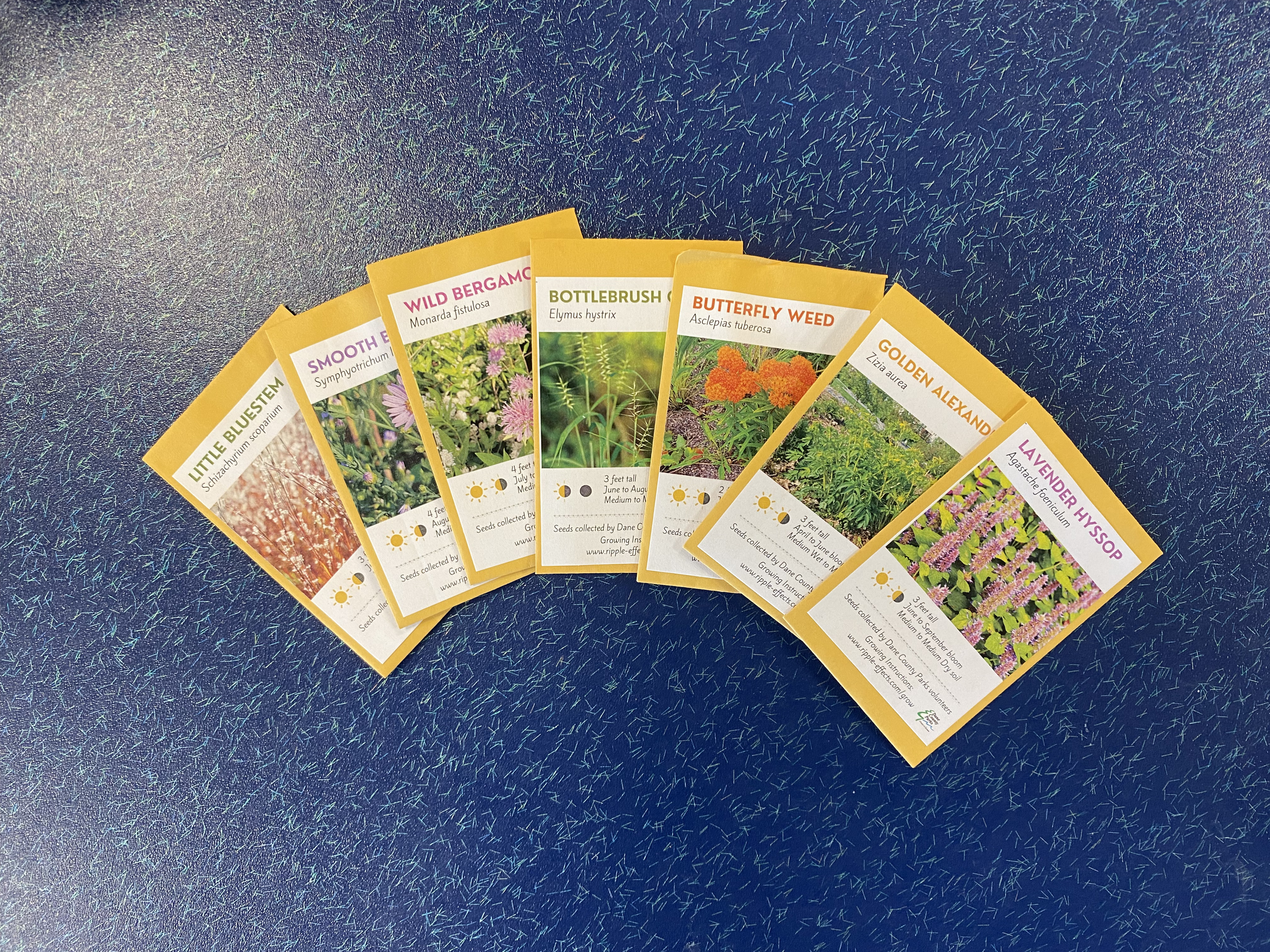 Madison Public Library Seed Library gives away free seeds twice a year