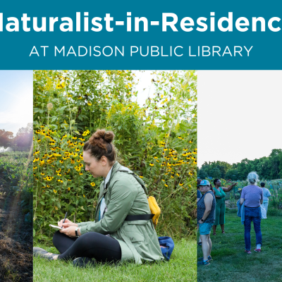 Naturalist-in-Residence Web Banner.png Naturalist-in-Residence web banner