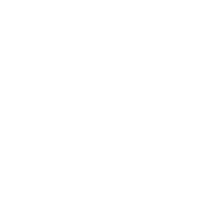 Genealogy - white icon genealogy