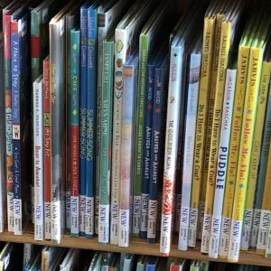 Spines of New Picture Books
