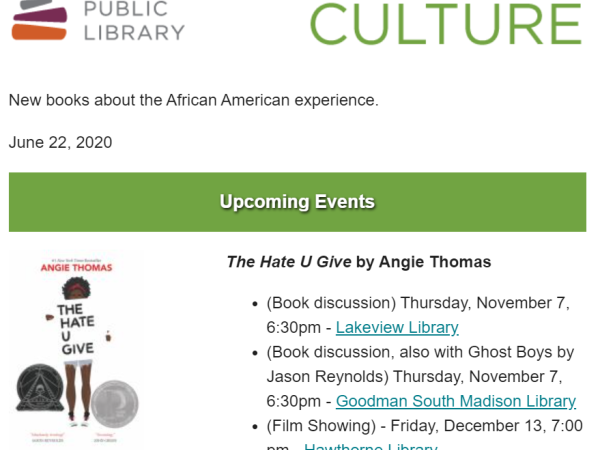 African American Culture newsletter screenshot