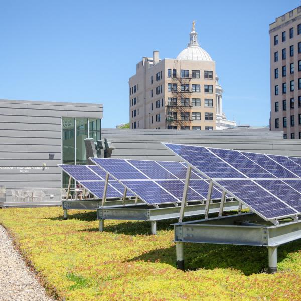 Green roof at Central Library 