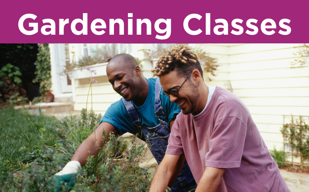 Free Gardening and Greenery classes at Madison Public Library for spring