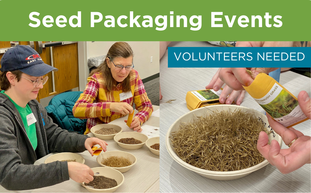 Volunteers needed to help package seeds at multiple madison public libraries this February