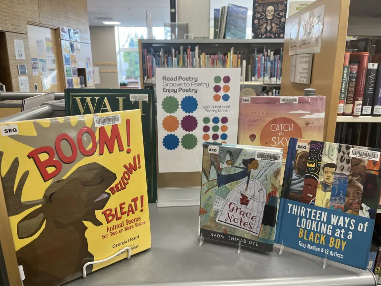 A poetry month book display featuring several books for kids at Sequoya Library in Madison Wisconsin
