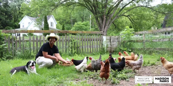 Alex feeding chickens Alex feeding chickens