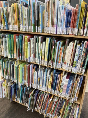 IMG_9858.JPG Shelves of new picture books