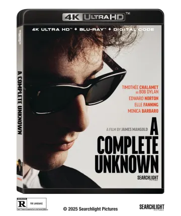 dylan sunglasses dylan sunglasses