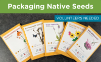 Volunteers needed to help package native seeds at three libraries this December