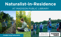 Naturalist-in-Residence web 2024