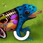 howdoanimalswork.jpg blue frog with a cutaway body revealing inner anatomy